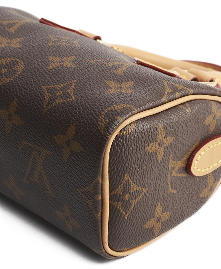 Louis Vuitton Speedy Nano