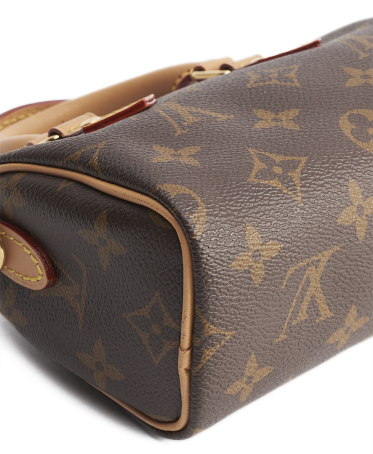 Louis Vuitton Speedy Nano