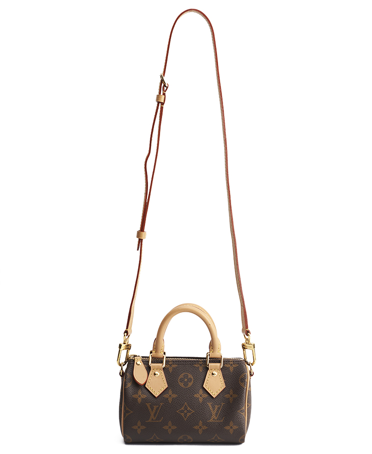 Louis Vuitton Speedy Nano