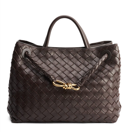 Bottega Veneta Andiamo Medium