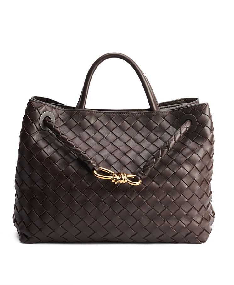 Bottega Veneta Andiamo Medium