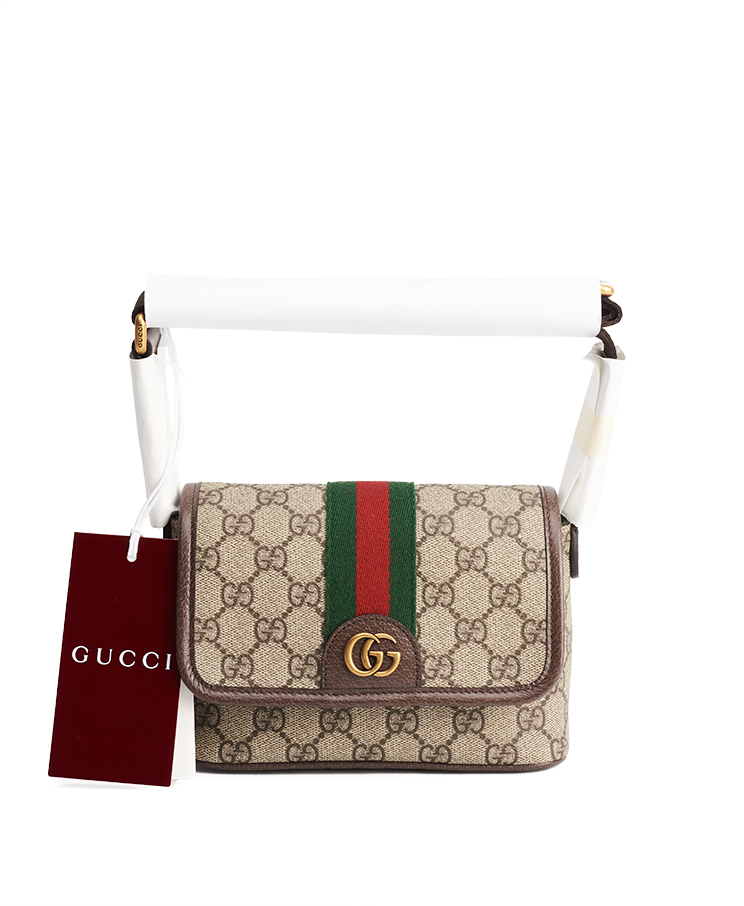 Gucci Ophidia Bag Mini