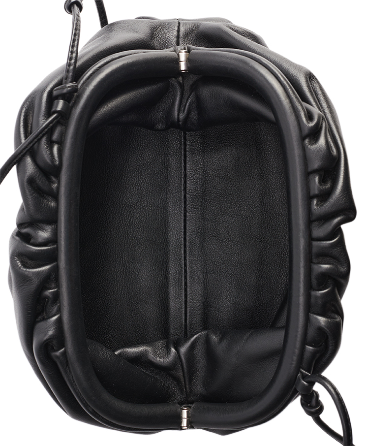 Bottega Veneta The Pouch Mini