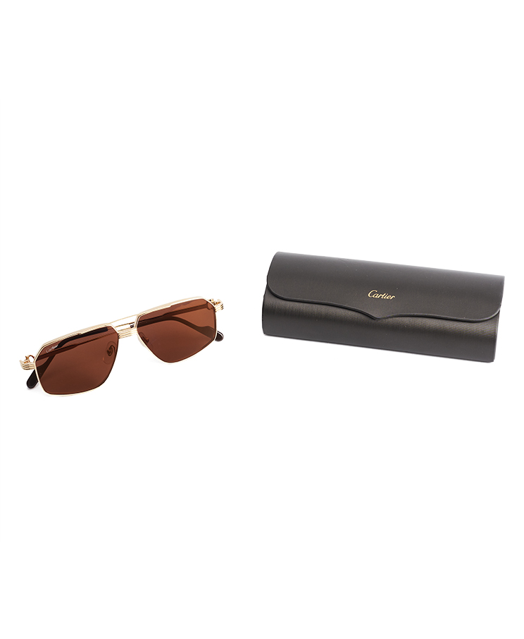 Cartier CT0270S 006
